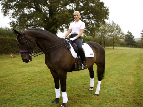 Dressage Horses for sale